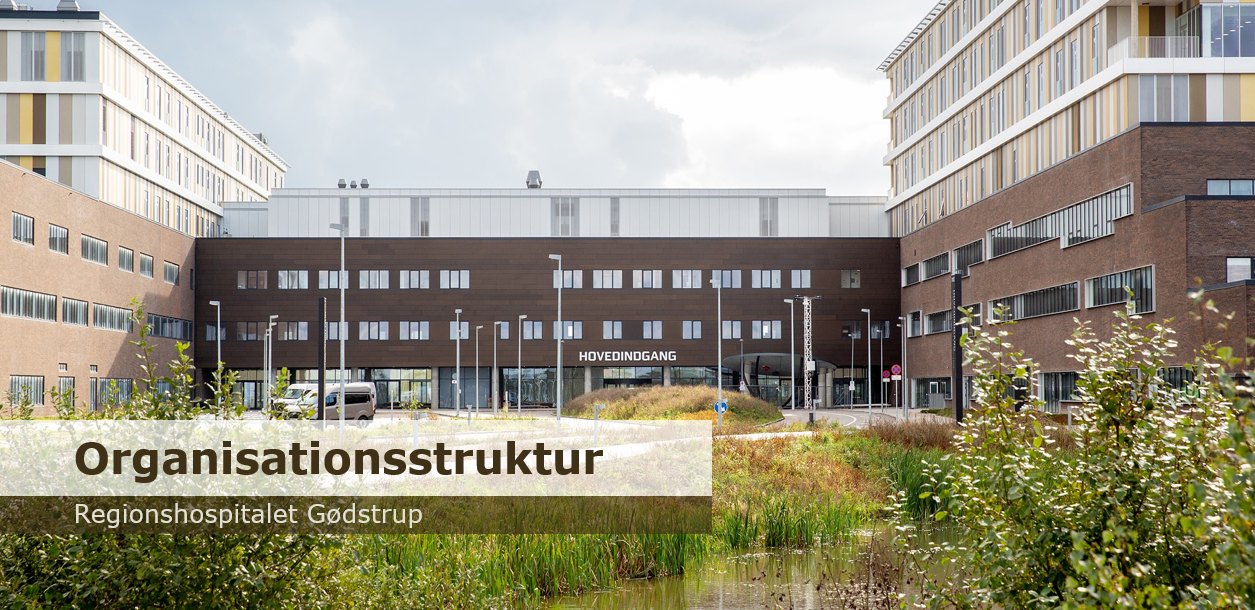 Organisationsstruktur, Regionshospitalet Gødstrup — afspil videooplægget med Tinna Nørgaard